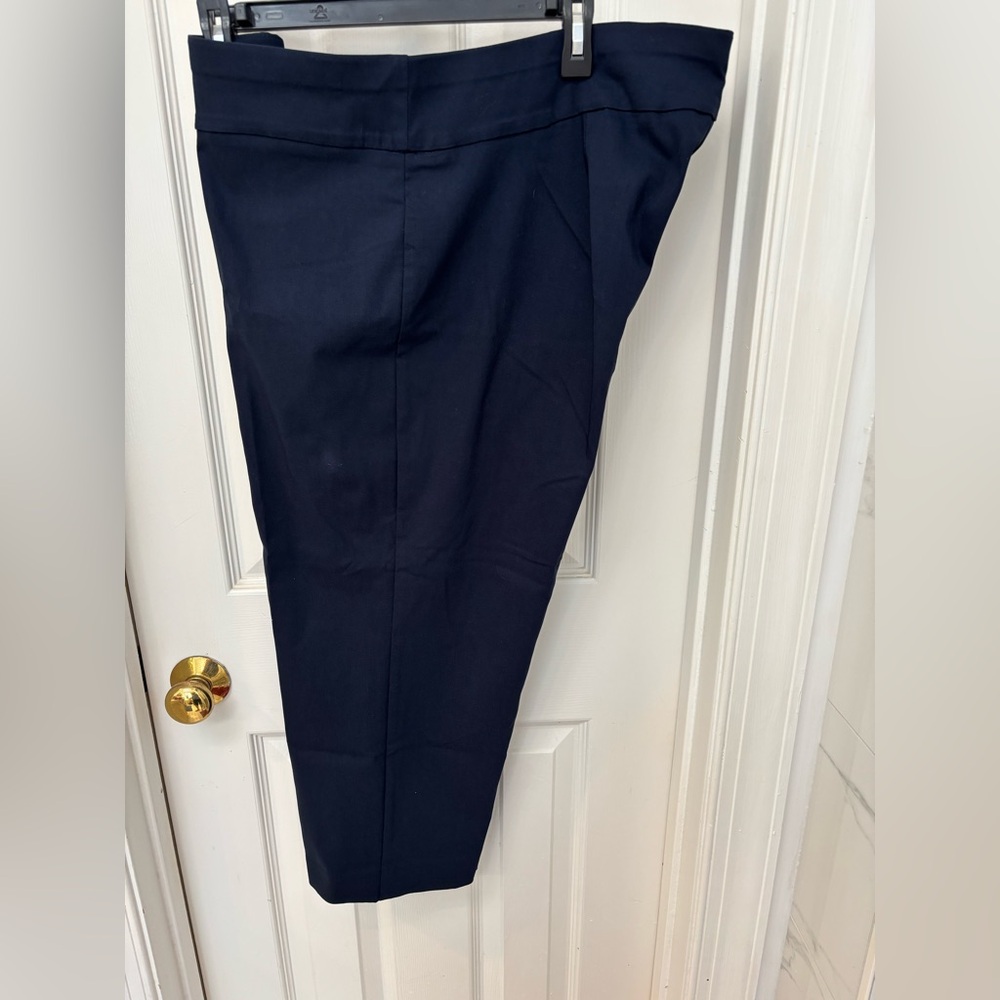 Women’s ankle pants. Alfani
18W
